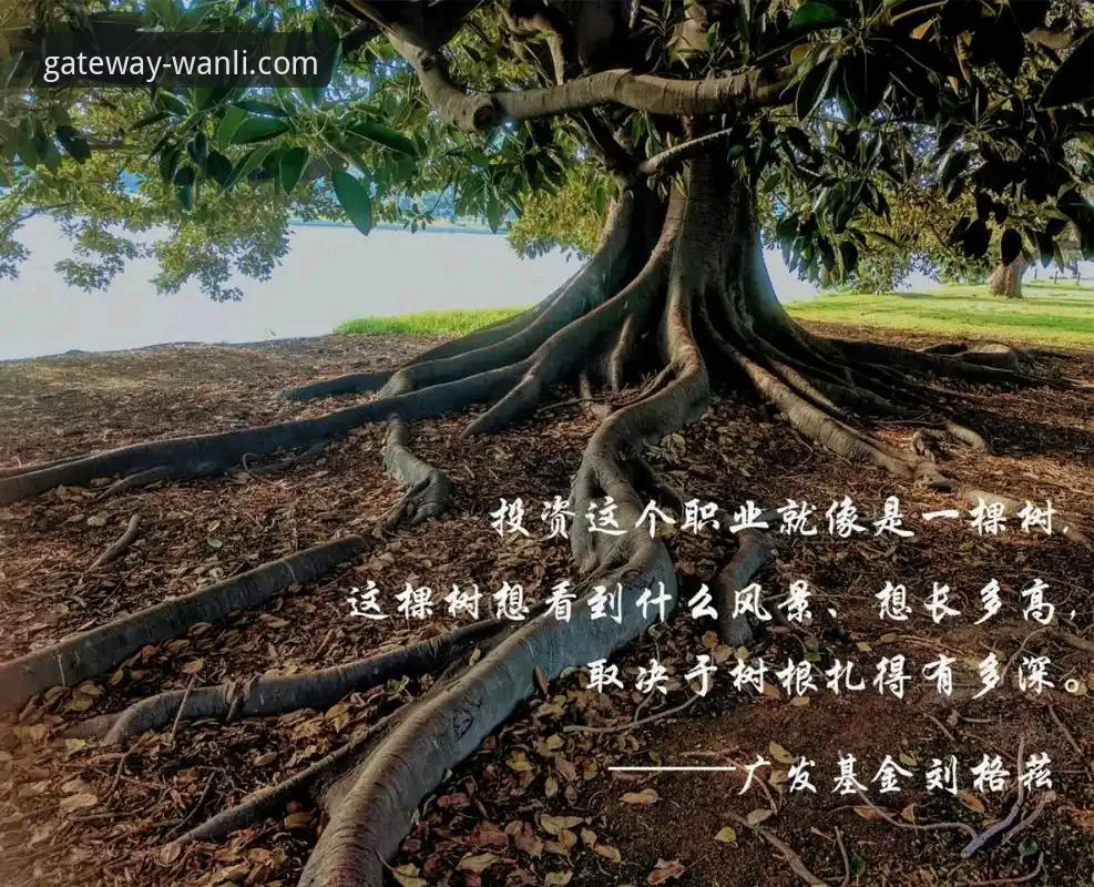 深度复盘意大利出局：在万利官网平台解锁赛事数据分析新维度